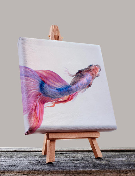 無框油畫布(不同尺寸) - Pottlife