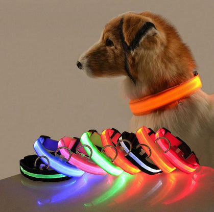 寵物LED發光頸圈狗狗發光頸帶印Logo圖案印刷公司訂制 (企業定制)