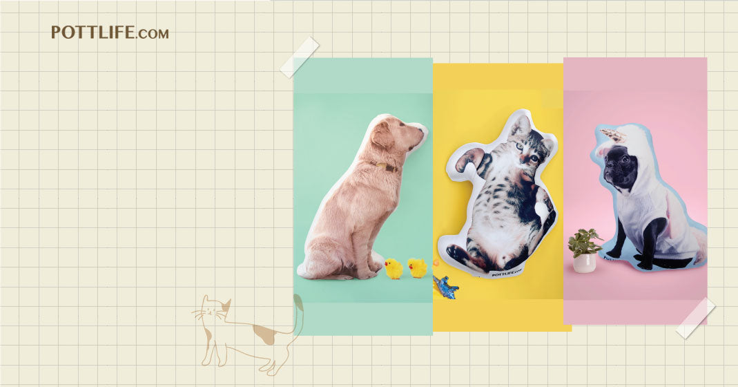 slider-image