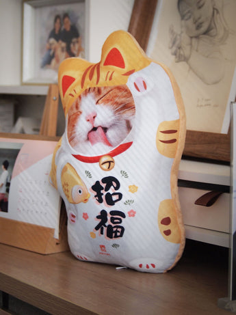 招財貓抱枕 (定制立體版)