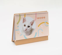 2022年月曆 - 鐵圈 (8寸）貓 - Pottlife