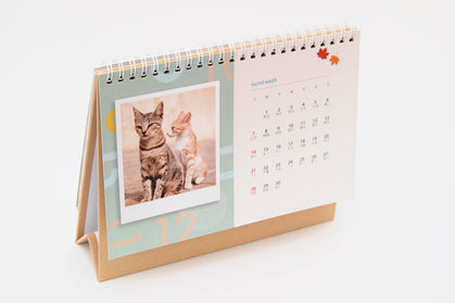 2022年月曆 - 鐵圈 (8寸）貓 - Pottlife