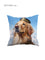 寵物圖案本地設計文化現貨金毛尋回犬系列舒適毛絨綢緞抱枕 (現貨發售) - Pottlife