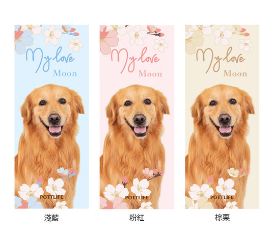企業公司學校團體紀念品訂制杯蓋保溫杯印Logo圖案小批量訂制 (企業定制)
