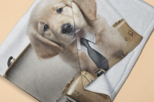 寵物潮流文化本地設計寵物圖案毛毯現貨 我不想上班(狗狗)系列: 寵物絨毛毯(春天/冷氣被，現貨發售)