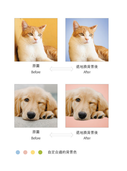 寵物照片油畫布定制(不同尺寸，可換背景色)
