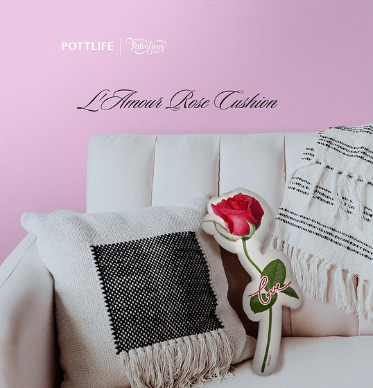 毛絨玫瑰 L'Amour Rose