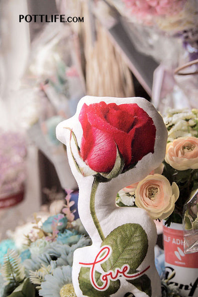 毛絨玫瑰 L'Amour Rose
