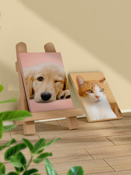 寵物照片油畫布定制(不同尺寸，可換背景色)